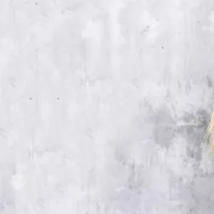 Fire breakout in Amazon forest, still out of control