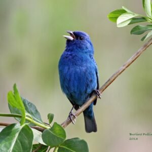 The Art of Photography