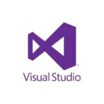 Microsoft Visual Studio Developer